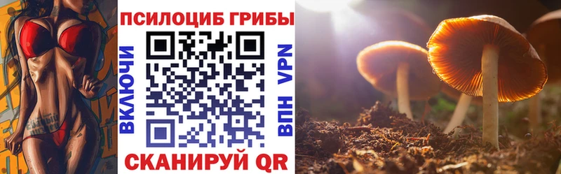 закладки  Торопец  Галлюциногенные грибы прущие грибы 