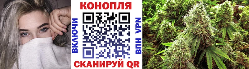 Шишки марихуана MAZAR  где купить   Торопец 
